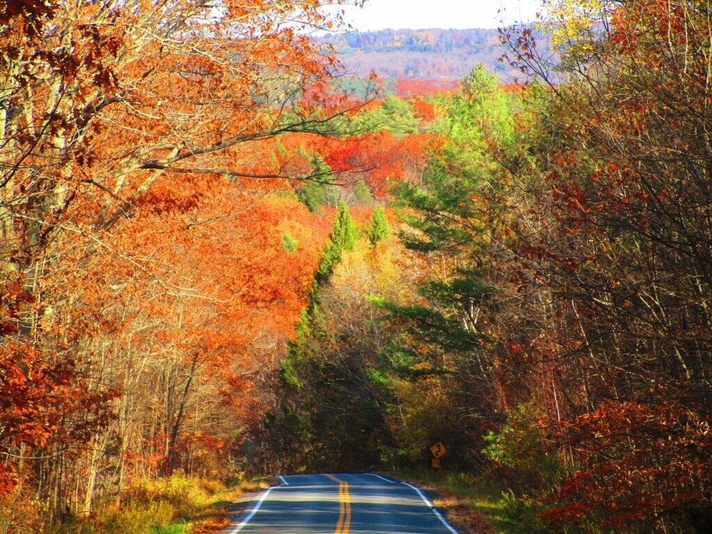 Photo: Ravine Road Photo: Ravine Road
