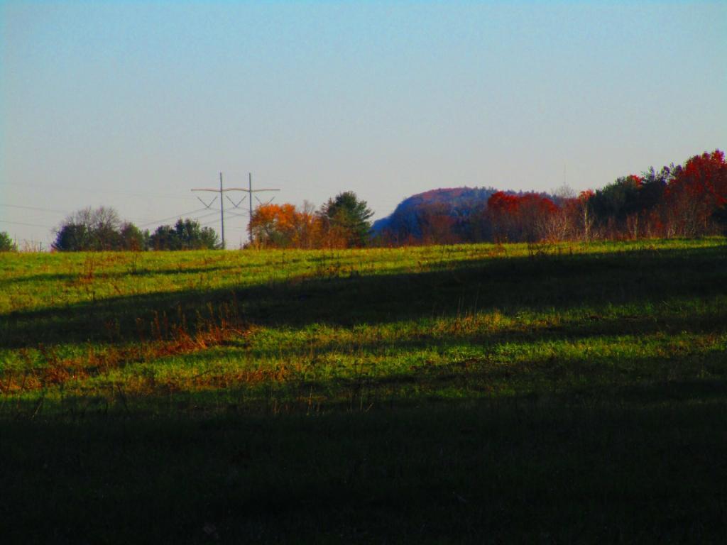 Photo: Powerlines Photo: Powerlines