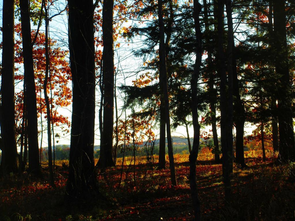 Photo: Out to Field