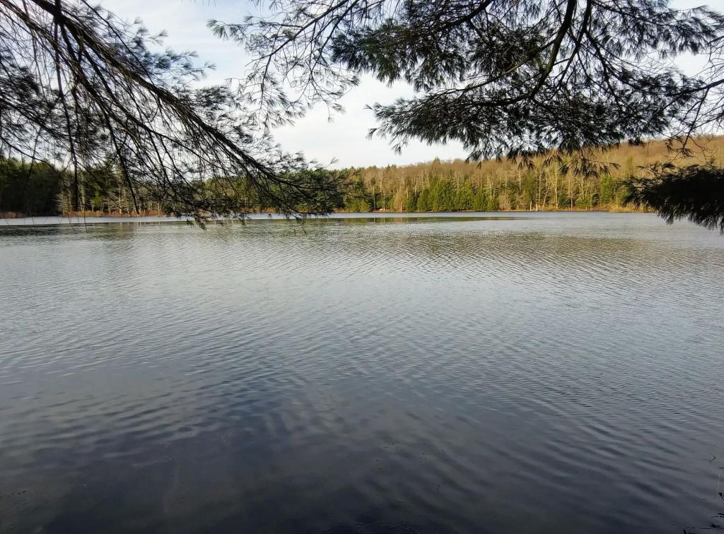 Photo: Stoney Pond Photo: Stoney Pond