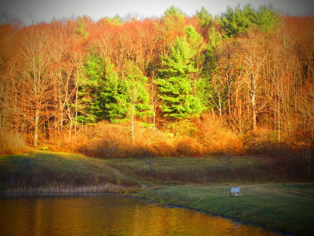Photo: Down at Stoney Pond 🐠 Photo: Down at Stoney Pond 🐠