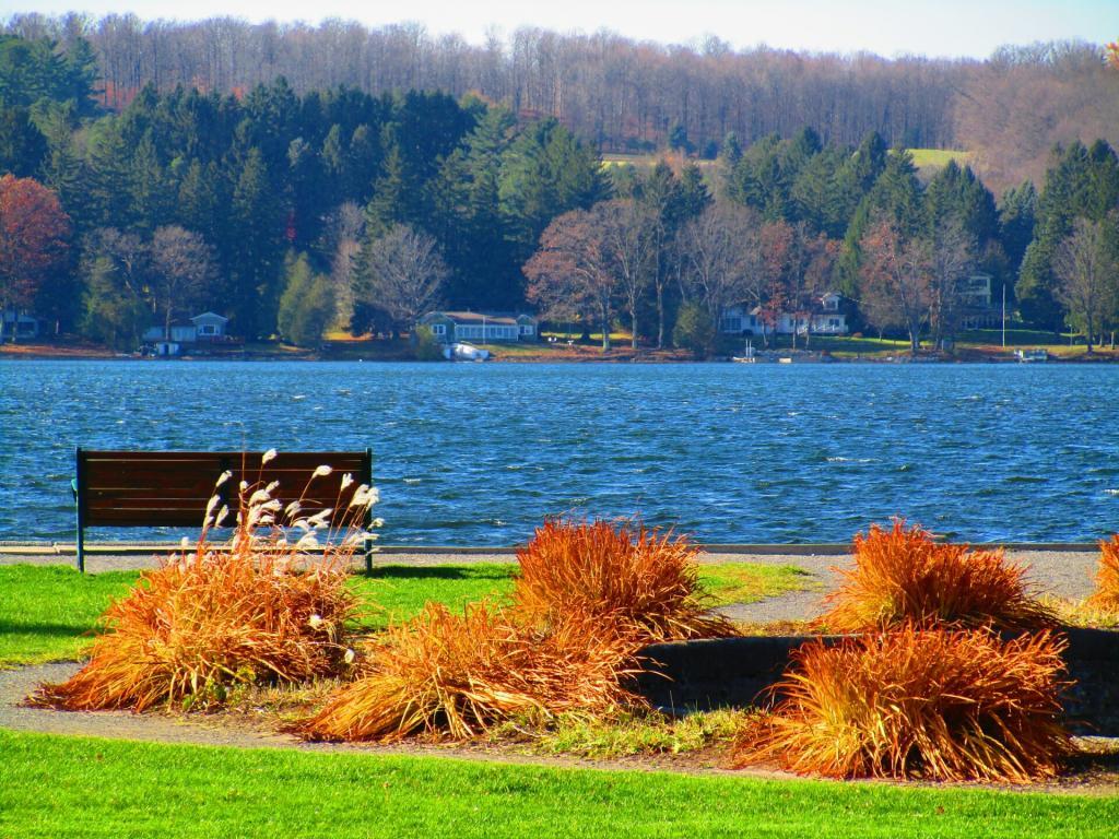 Photo: Some color along the lake