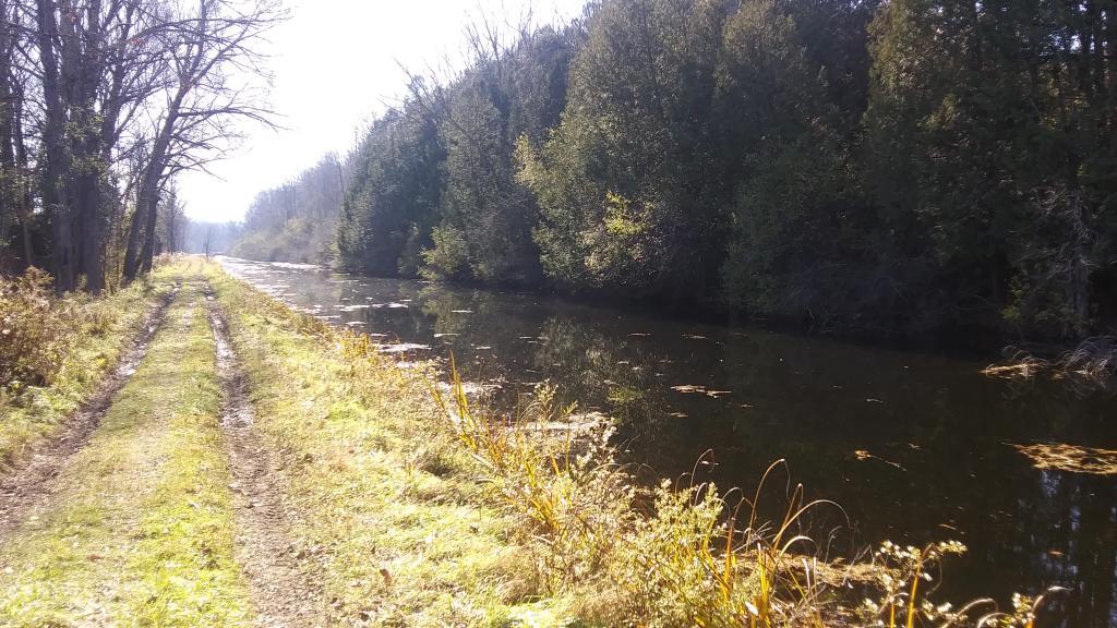 Photo: Straight away to Woodsman Pond Road Bridge