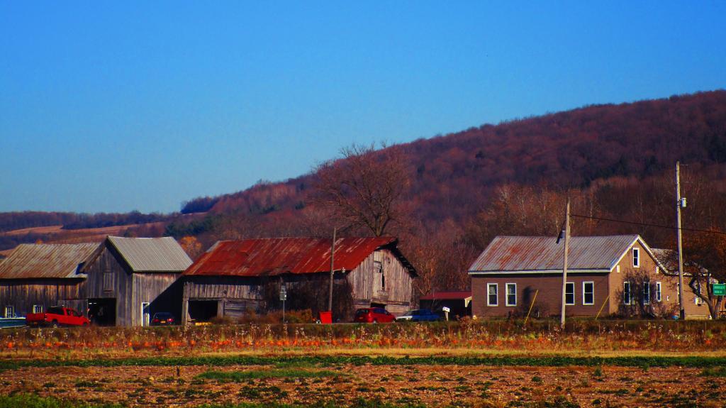 Photo: Farm Along NY 12B