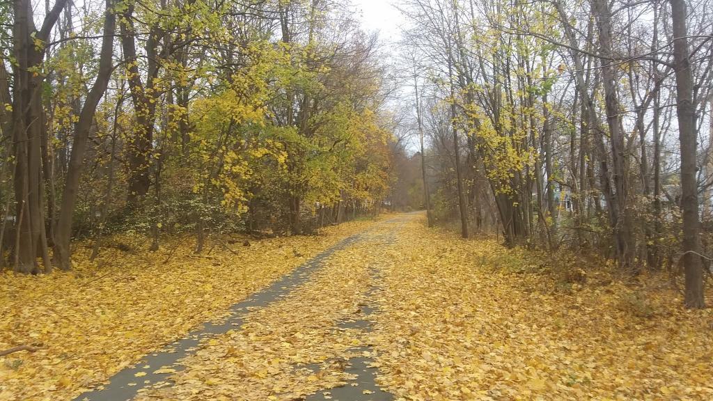 Photo: Some color on the rail trail