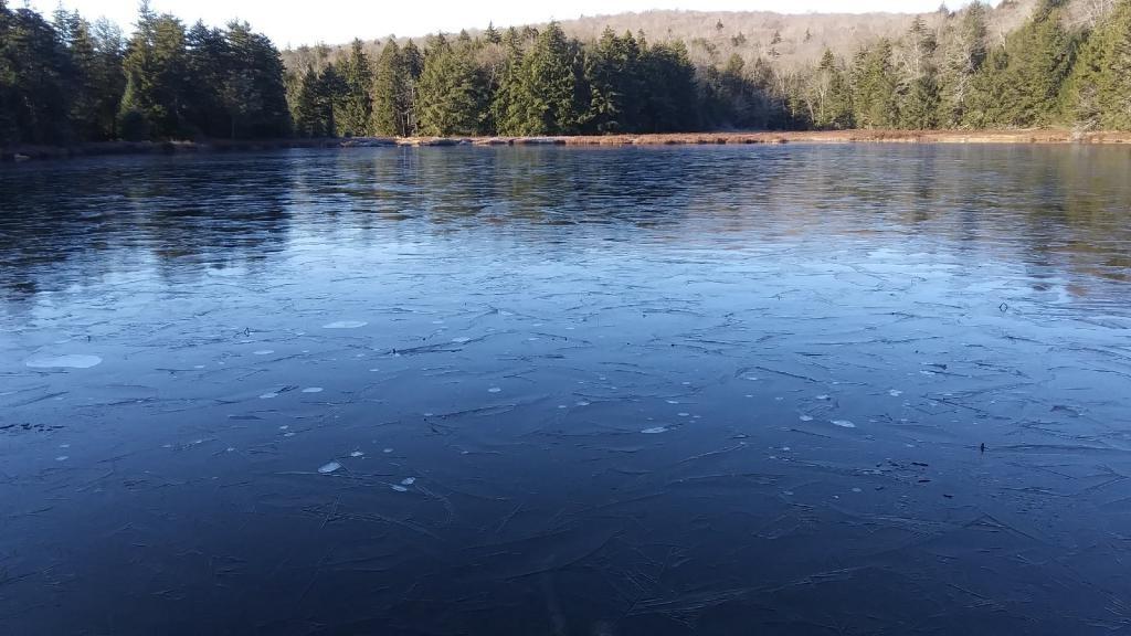 Photo: House Pond is Getting Icy ❄ Photo: House Pond is Getting Icy ❄