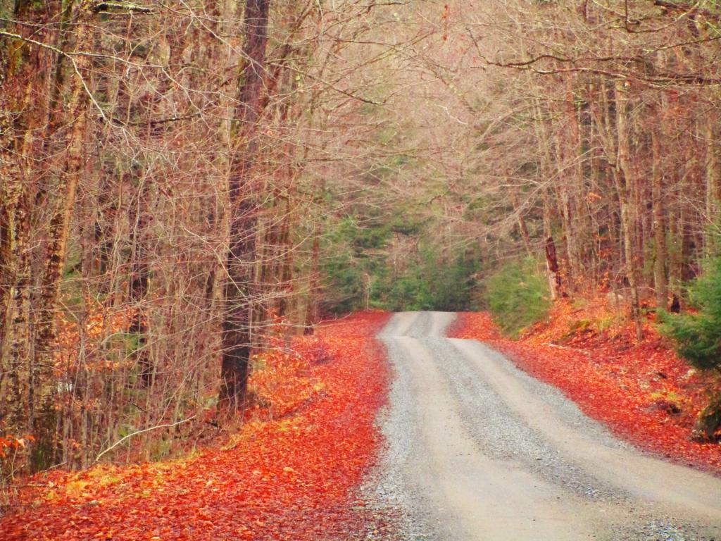 Photo: Piseco Road has been rebuilt