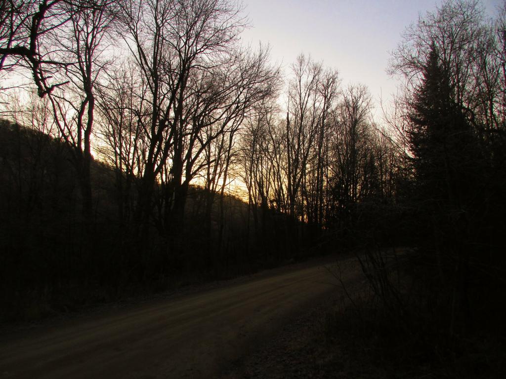 Photo: Sun is Low