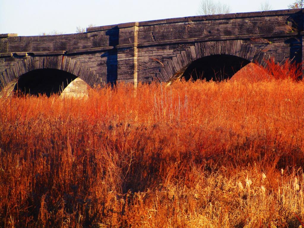 Photo: Sagging Arches Photo: Sagging Arches