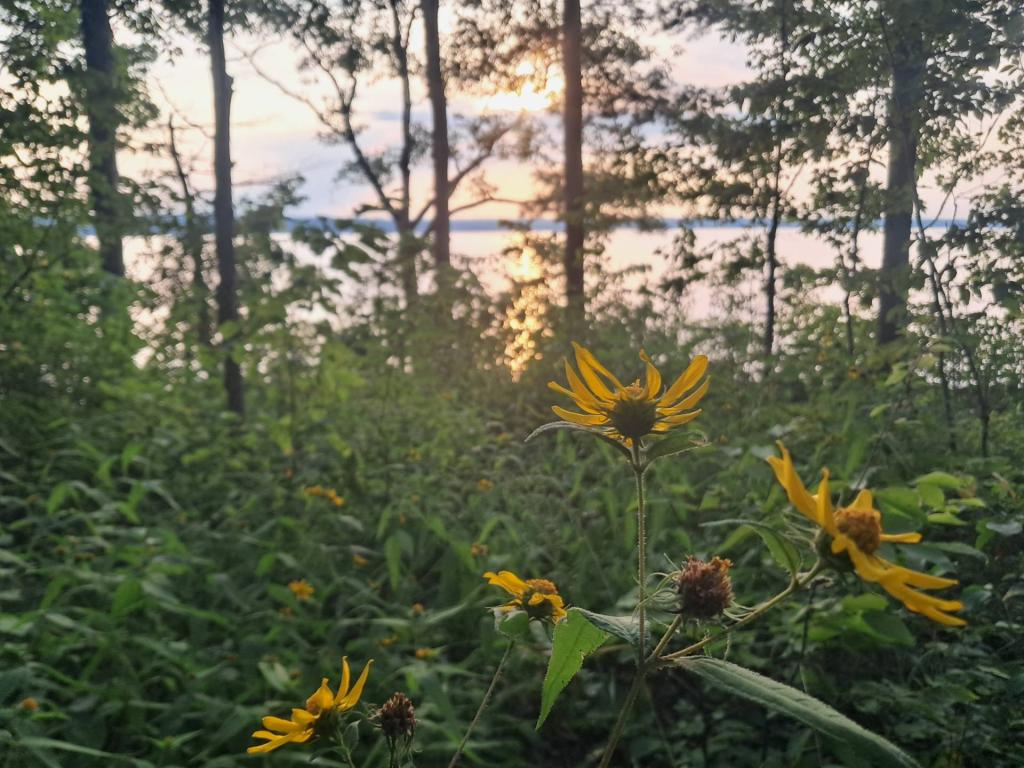 Photo: Untitled