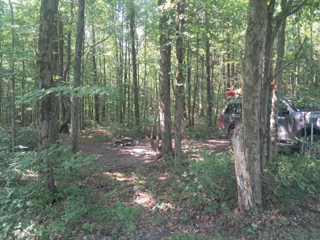 Photo: Untitled [Expires August 23 2026]