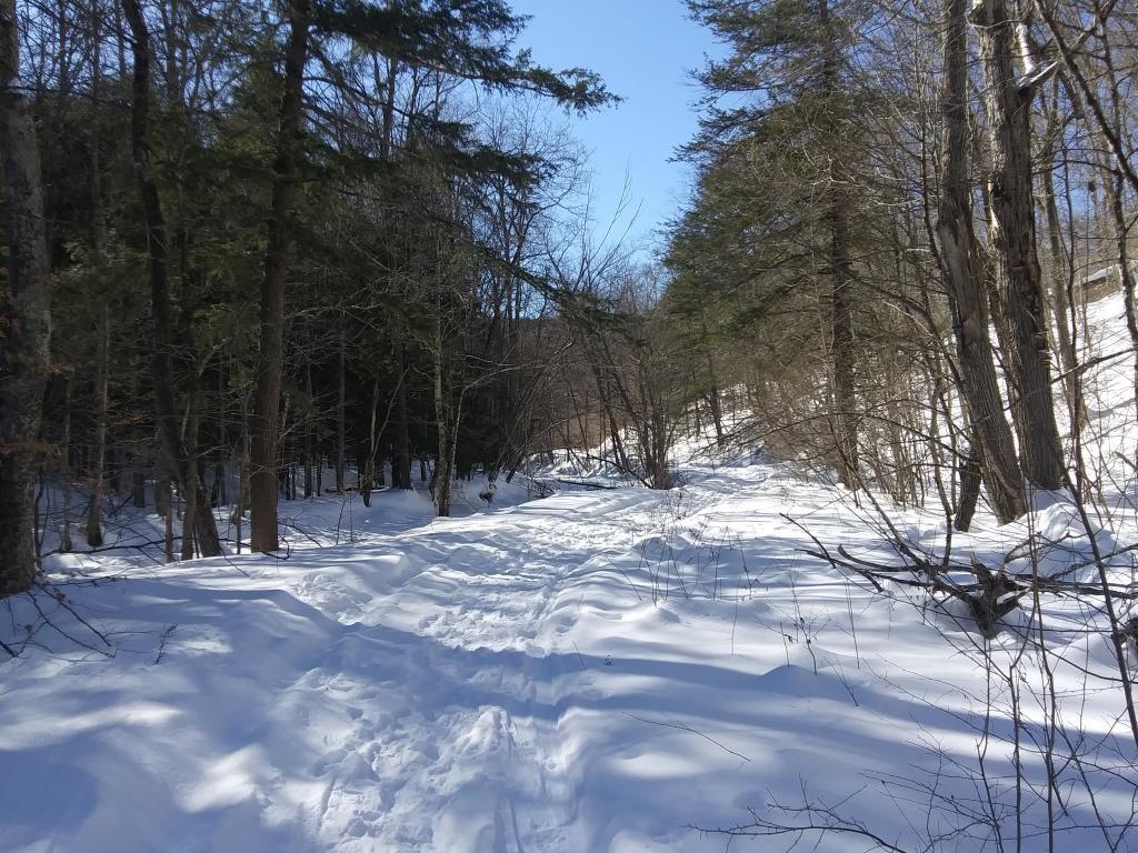 Photo: So bright and sunny today Photo: So bright and sunny today