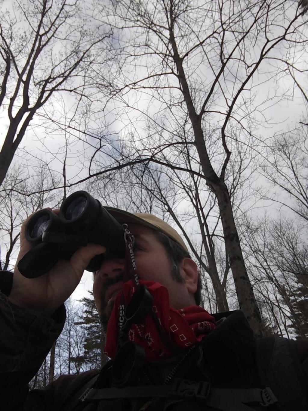 Photo: Bird watching Photo: Bird watching