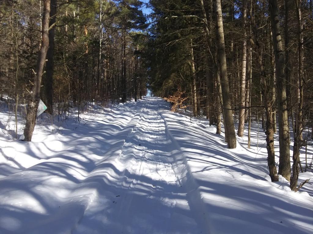 Photo: This section of trail was well packed snow 🌨 Photo: This section of trail was well packed snow 🌨