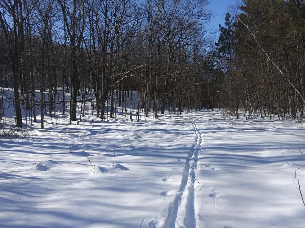 Photo: I was glad I got back up the ledge and there was a good path to follow Photo: I was glad I got back up the ledge and there was a good path to follow
