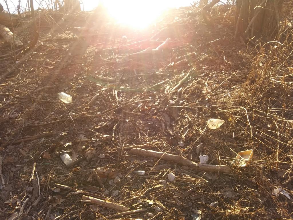 Photo: Litter 🚮 along the Hudson River Photo: Litter 🚮 along the Hudson River