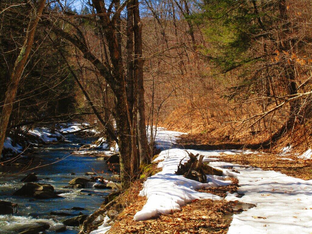 Photo: Old Partridge Run Road Photo: Old Partridge Run Road