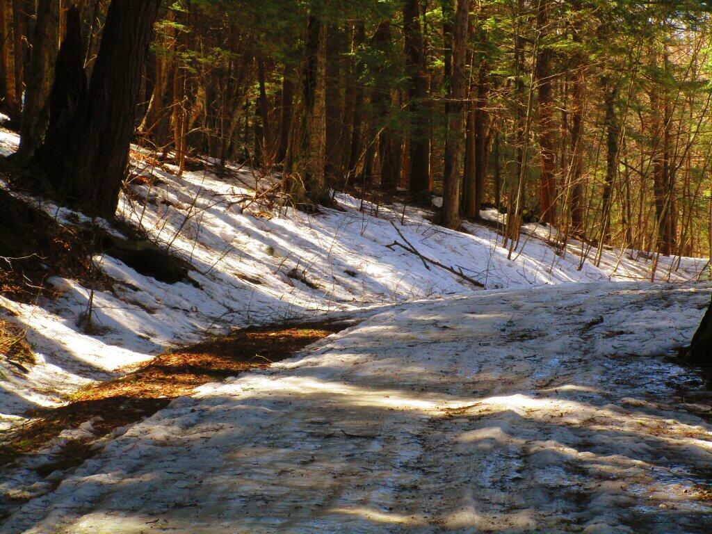 Photo: Roads Still Pretty Icy Photo: Roads Still Pretty Icy