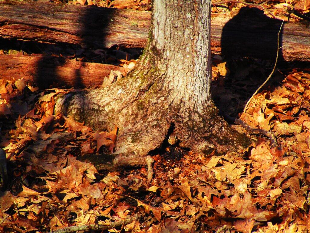 Photo: Watched Photo: Watched